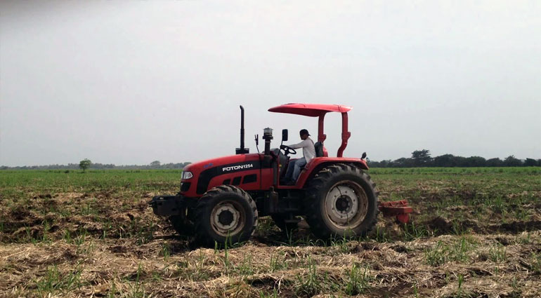 Сельскохозяйственные трактора FOTON